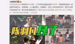出轨爆料新闻视频大全,揭秘娱乐圈不为人知的秘密瞬间